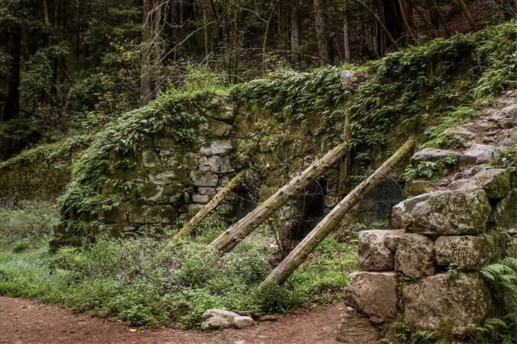 Screenshot 2025-01-09 at 3.01.57 AM