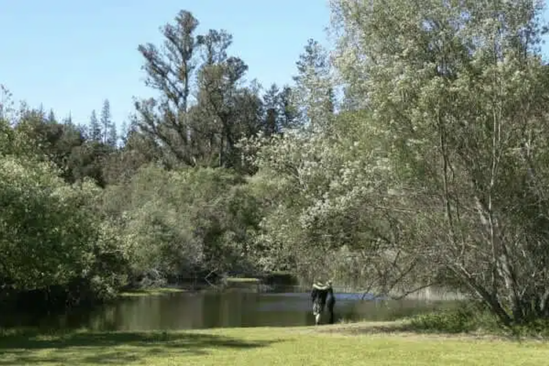 Screenshot 2025-01-09 at 3.02.44 AM