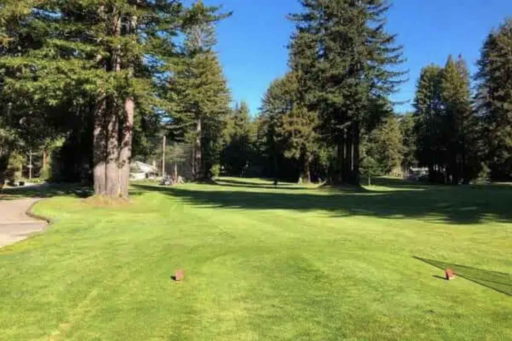 Screenshot 2025-01-09 at 3.03.36 AM