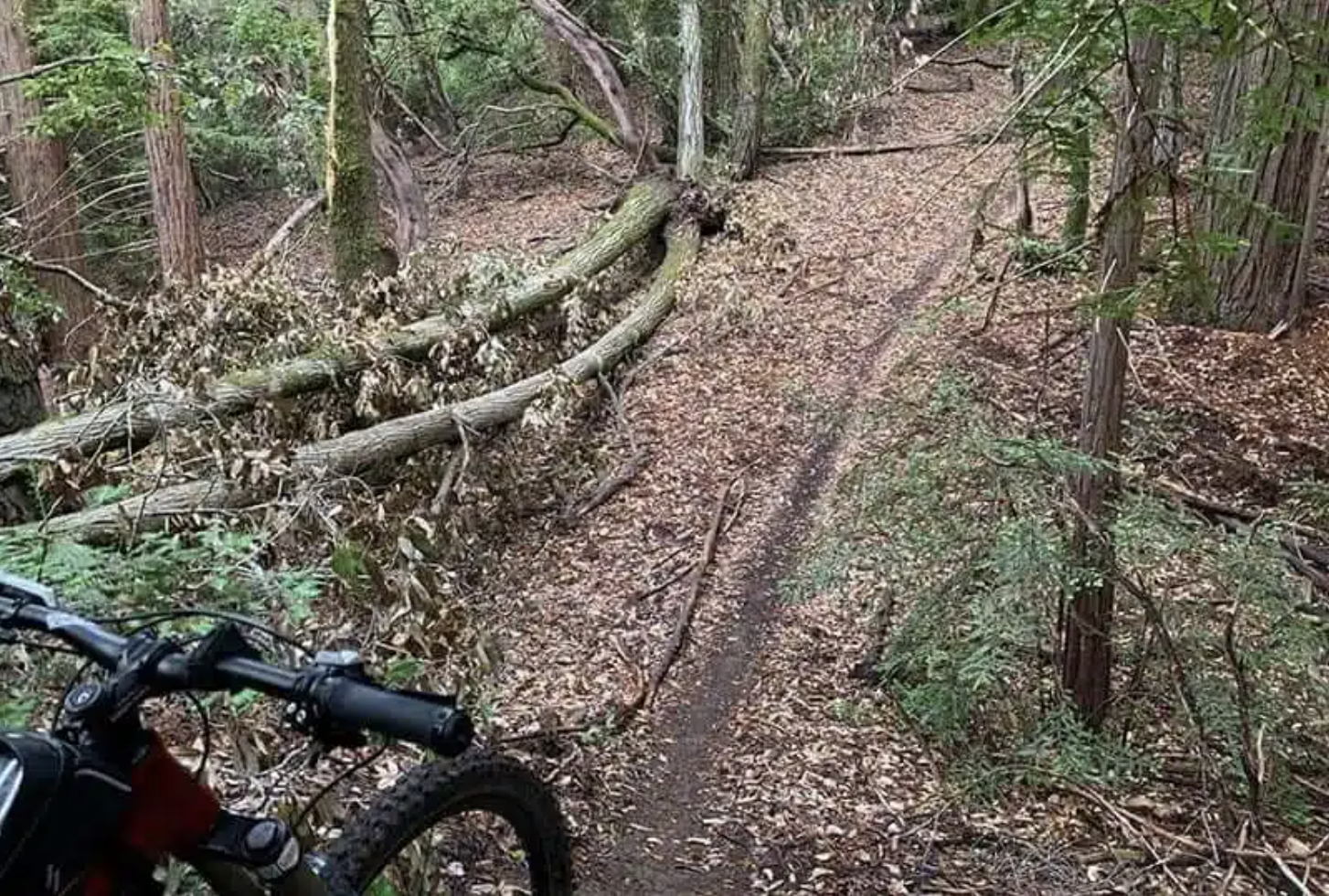 Screenshot 2025-01-10 at 2.44.49 AM