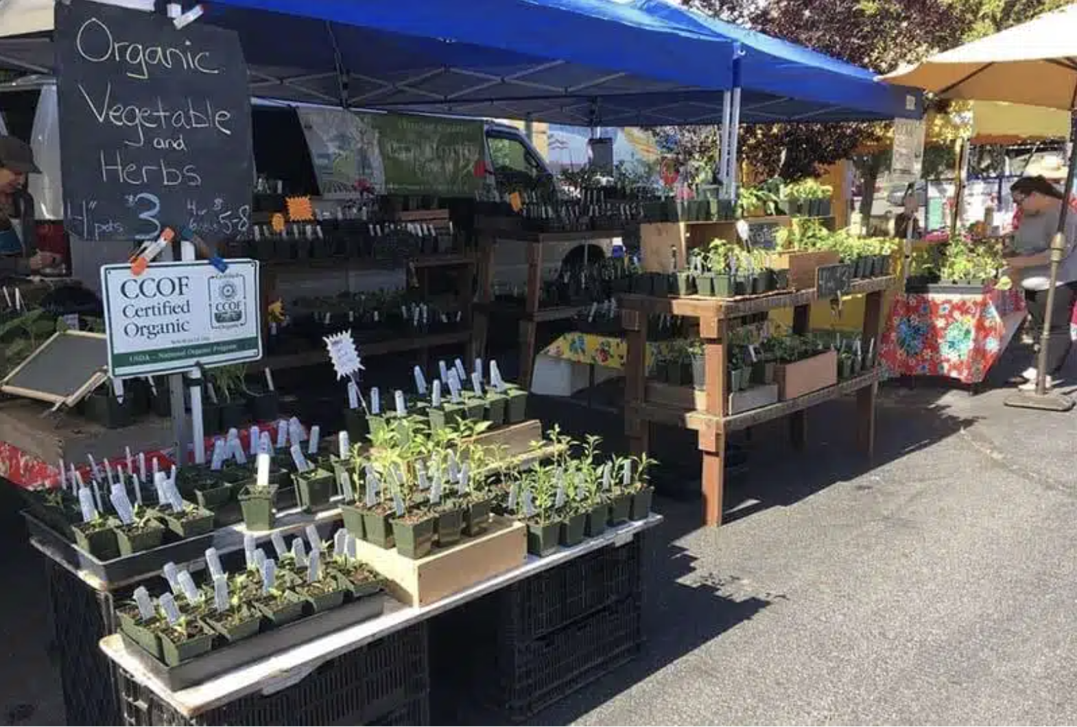 Screenshot 2025-01-10 at 8.19.34 AM