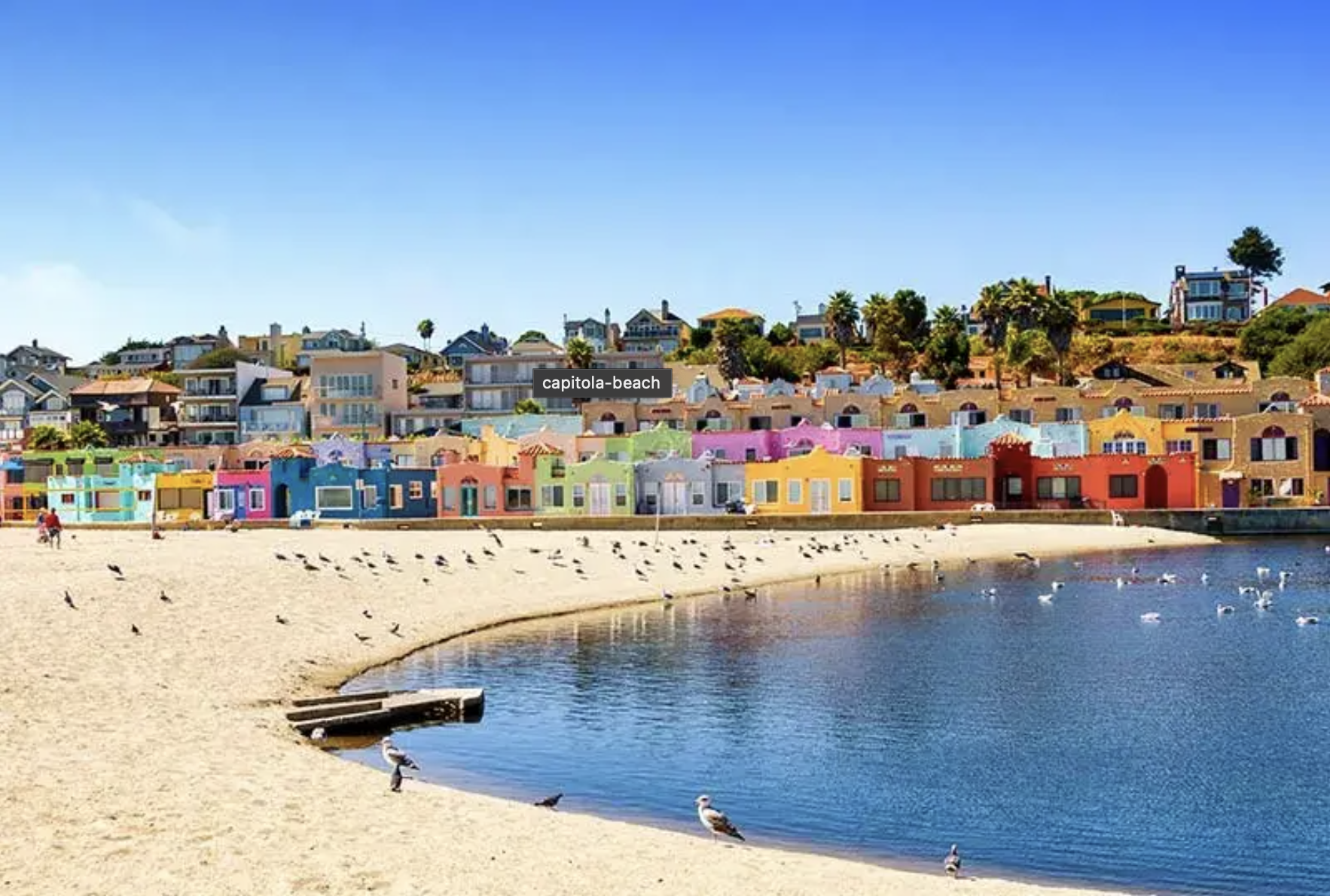 Screenshot 2025-01-10 at 8.44.19 AM