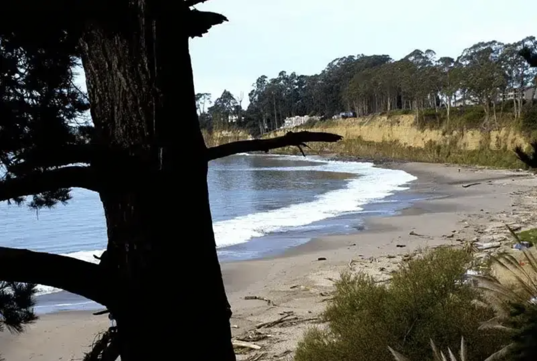 Screenshot 2025-01-10 at 8.44.27 AM