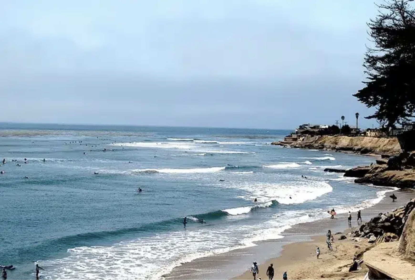 Screenshot 2025-01-10 at 8.58.24 AM