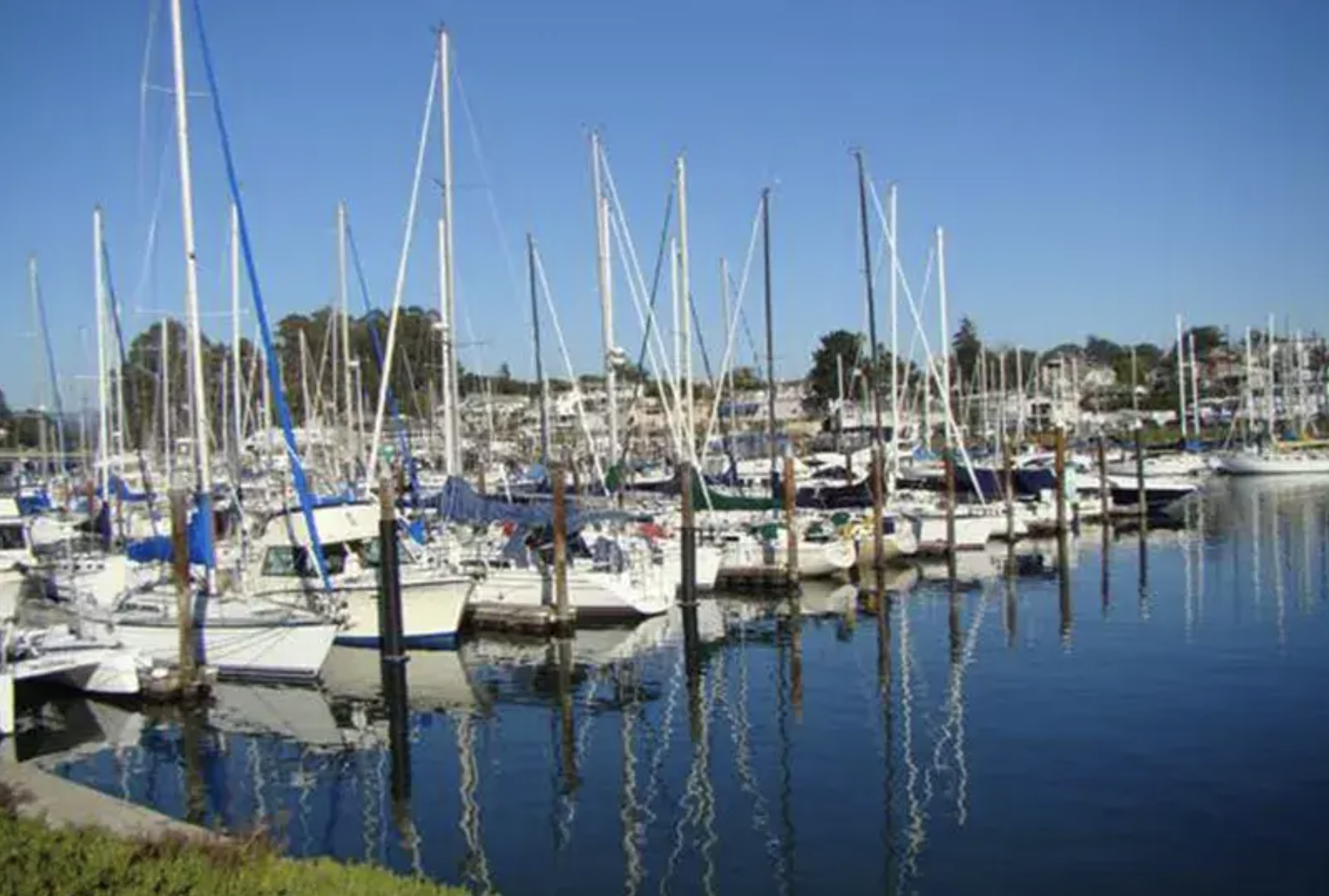 Screenshot 2025-01-11 at 12.18.06 AM