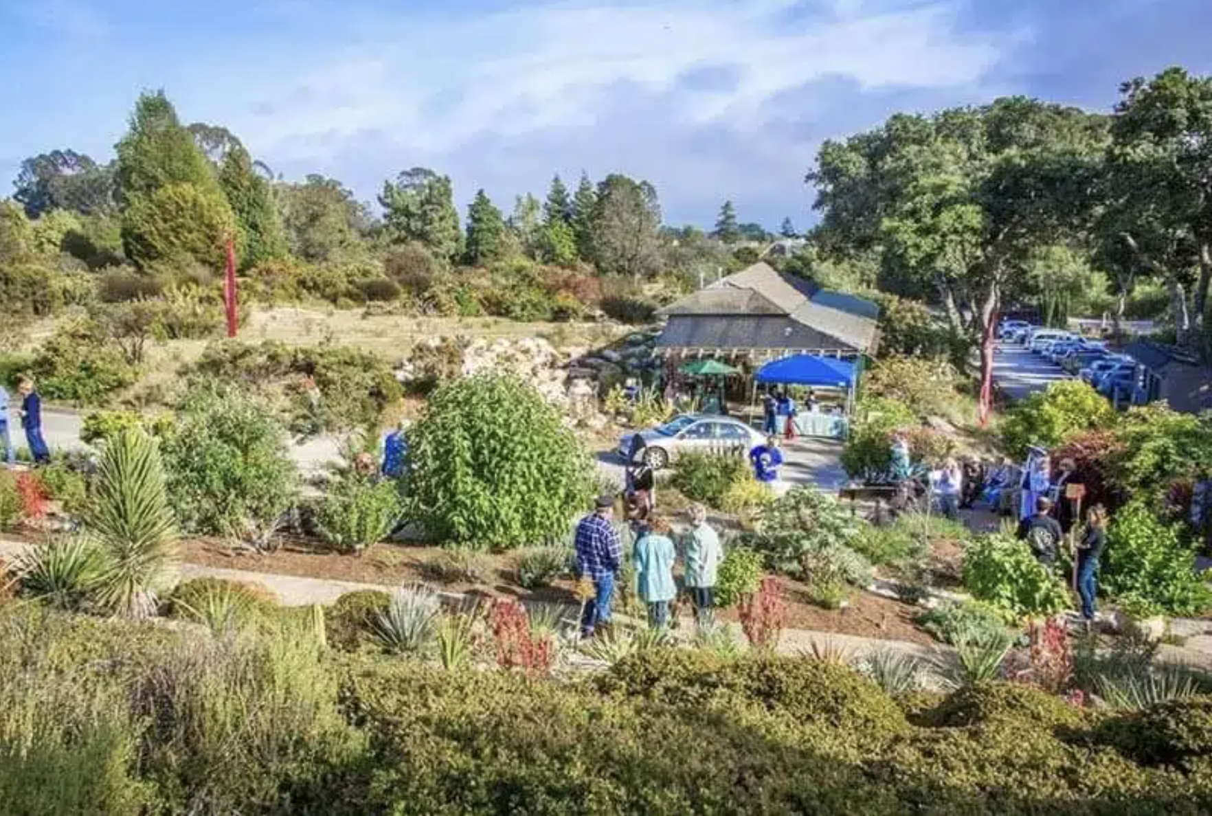 UC Santa Cruz Arboretum & Botanical Garden