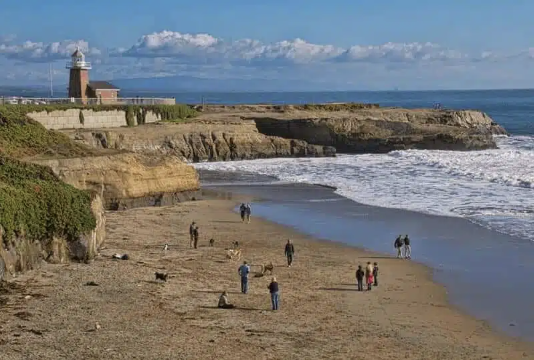 Lighthouse Field State Beach