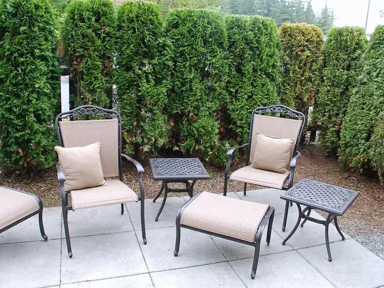 6856b2ff5fbc6de2d21673a0aa8c429f-cc_ft_768