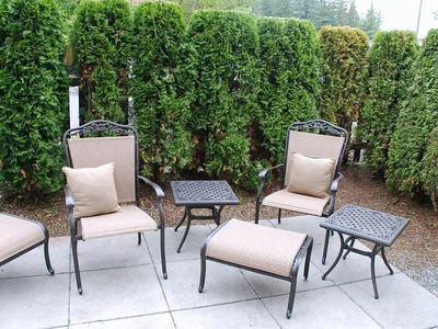 6856b2ff5fbc6de2d21673a0aa8c429f-cc_ft_768