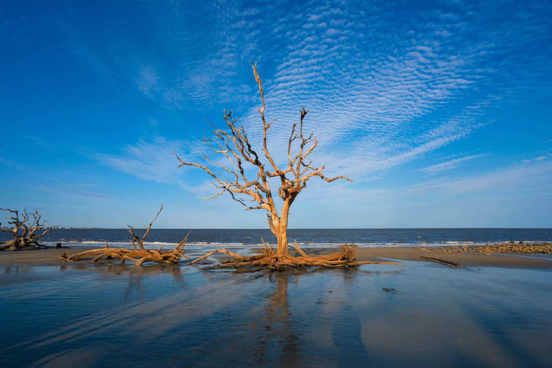 Jekyll Island
