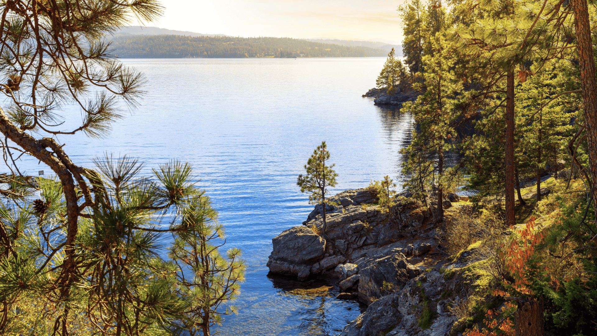 sellerspage-guidence(2)