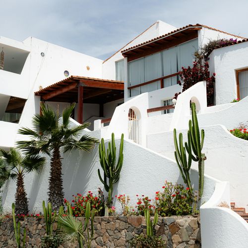 Garden Landscaping Ideas for Your New Home