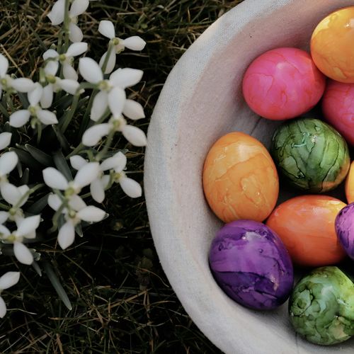 Easter Egg Basket of Real Estate Tips for New Buyers