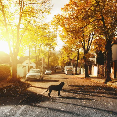 🏡 Wednesday Wisdom: Buy the Neighborhood, Not Just the House