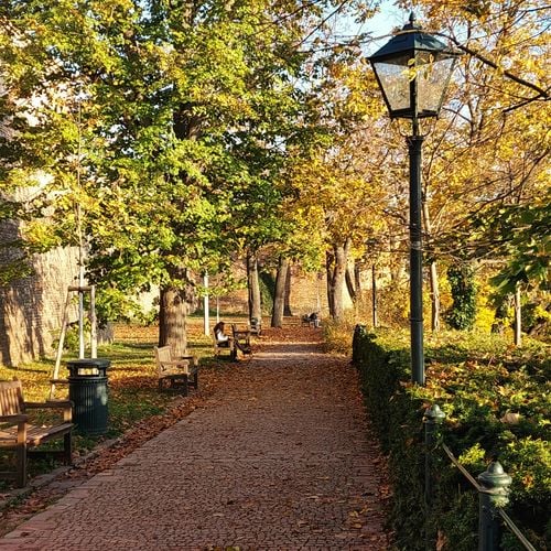 🌳 Best Parks, Greenways, and Outdoor Spots Near Knoxville Real Estate Hot Zones