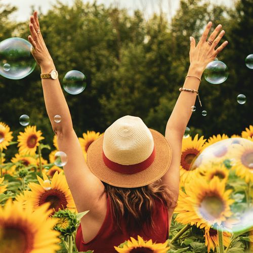 July 2025 in Tennessee: Fireworks, Fiddles & Fun—Events That Make You Want to Call the Volunteer State Home ✨