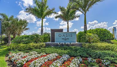Oasis