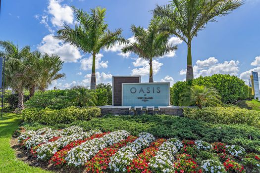 Oasis