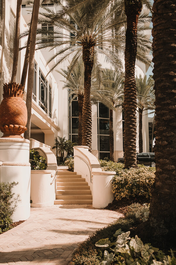 palms-near-path-to-luxury-building-2023-11-27-05-35-59-utc (1)