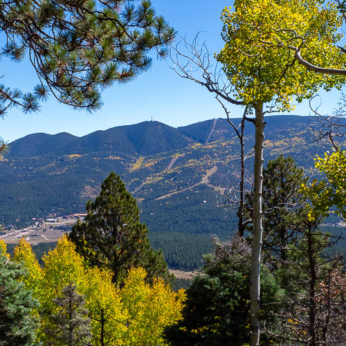 🍂 Leaf Peeping in Angel Fire: Aspen Gold & Scrub Oak Fire
