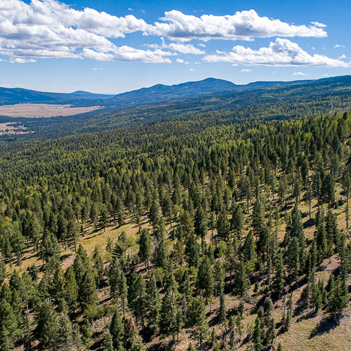 Beware of Angel Fire Resort’s “Membership-Only” Lots