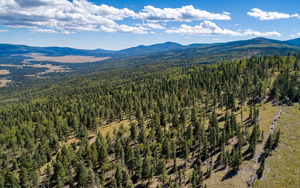 Aerial view of forested mountain lots near Angel Fire Resort, New Mexico, showing undeveloped land and tree-covered slopes inside the resort area.