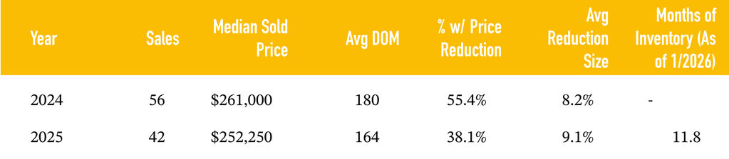 Angel Fire condo market data comparing 2024 and 2025 sales, prices, days on market, price reductions, and inventory