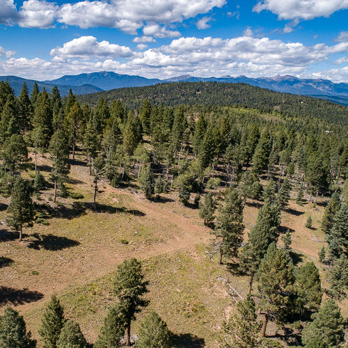 Angel Fire PID Lots: What Are They and What You Should Know