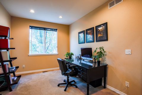 4924 Huntwick PL Highland Ranch_ (4 of 36)