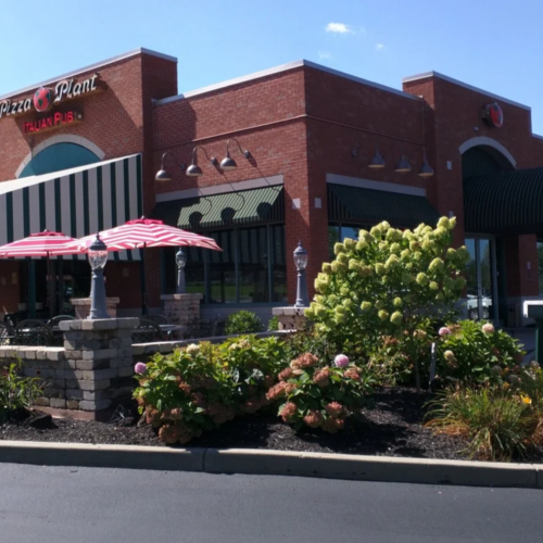 Hidden Gems: The Best Pizza in Williamsville