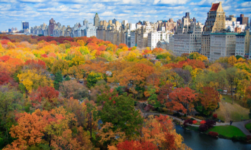 Your Guide to Fall 2026: Holiday Events in Western &hellip;