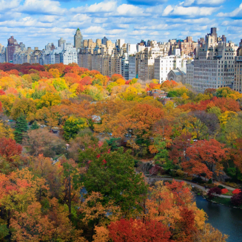 Your Guide to Fall 2026: Holiday Events in Western New York