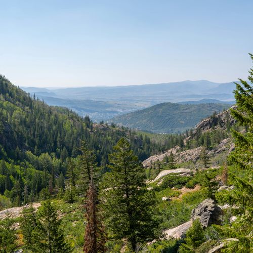 Smart Moves in a Shifting Market – Spring 2025 Steamboat Real Estate Update