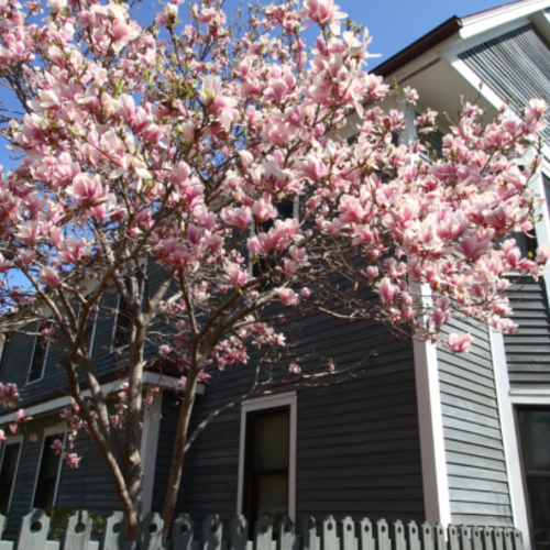 Is the Housing Market Waking Up This Spring? 