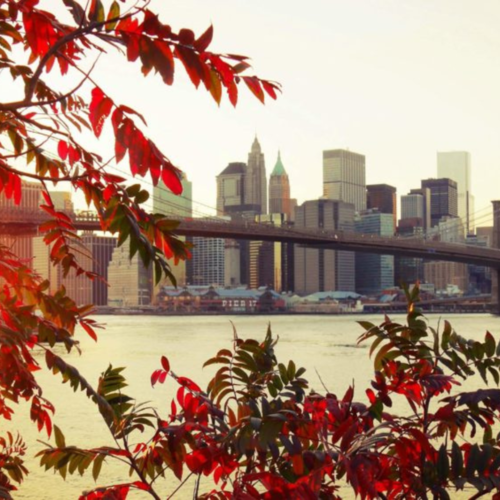 Is Fall the Smartest Time to Buy in Brooklyn?