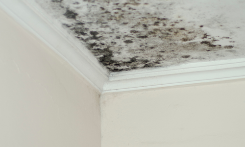 How to Detect Indoor Humidity Problems