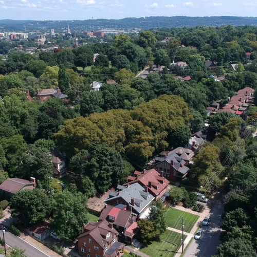 Living in Todt Hill, Staten Island: A Complete Neighborhood Guide for 2026