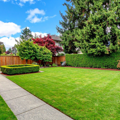 NYC Just Released 11 Pre-Approved Designs for Backyard Apartments You Can Build on Your Property | Daily Tesla News