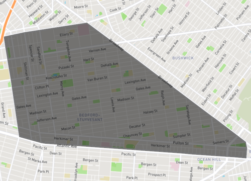 bedford stuyvesant.png