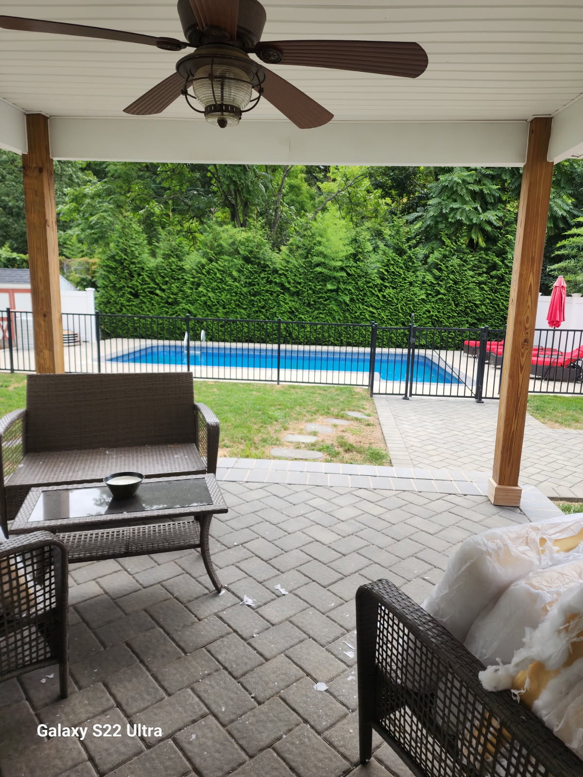Backyard & Pool