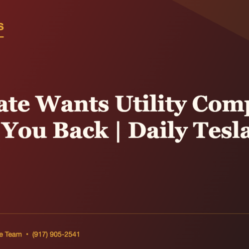 NY Senate Wants Utility Companies To PAY You Back | Daily Tesla News