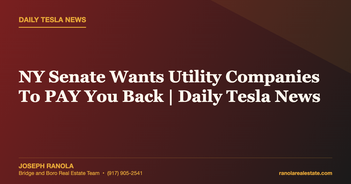 NY Senate Wants Utility Companies To PAY You Back | Daily Tesla News