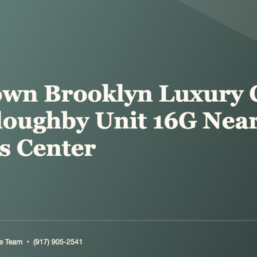 What's the Truth About Downtown Brooklyn Luxury Condo? 175 Willoughby Unit 16G Near Barclays Center