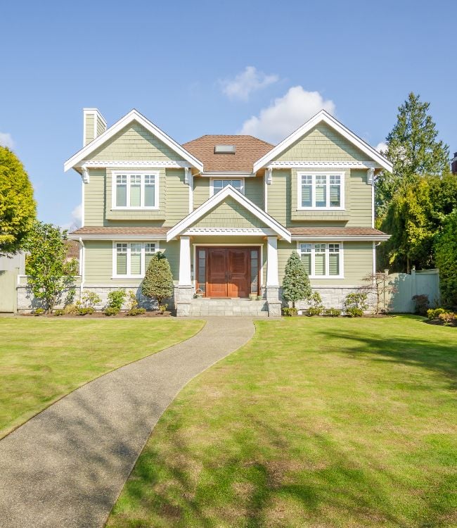 Houses in suburb with Spring Blossom(1)