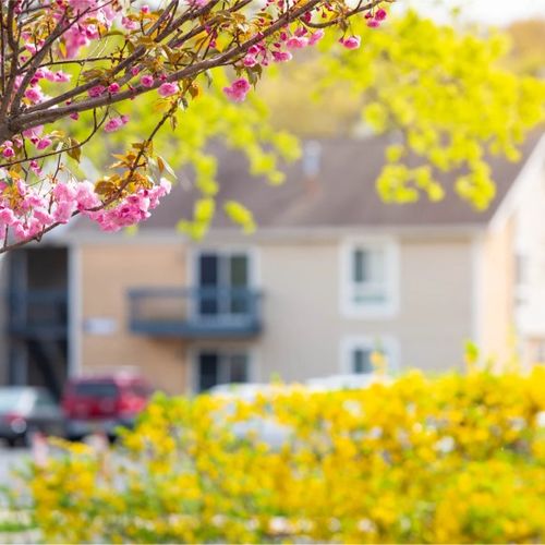 When is the Best Time to Sell a Home in Maryland?