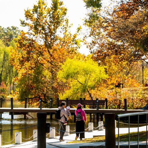 How Much House Can You Actually Afford in Howard County Right Now?