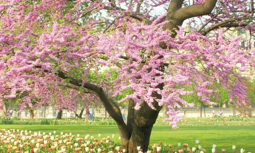 Selling in Winter vs. Spring in Baltimore:…
