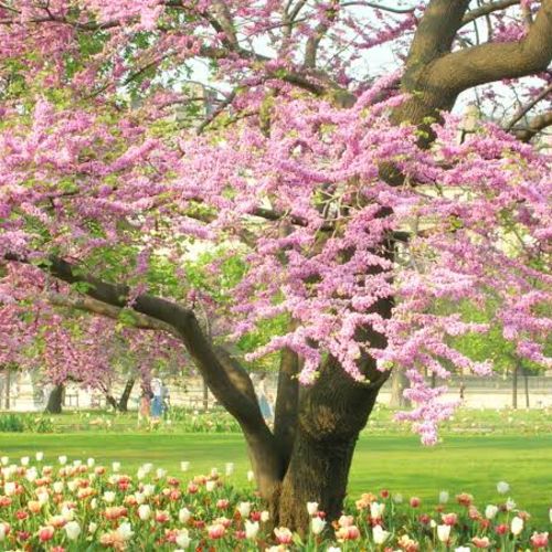 Selling in Winter vs. Spring in Baltimore: Does It Really Matter?