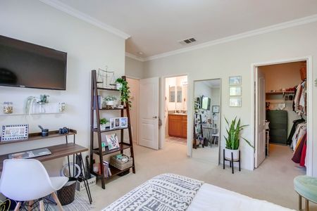 10964-serafina-ln-019_web