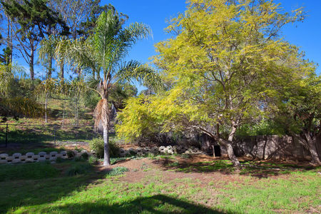 26_8474219_81101_EA-81101-126